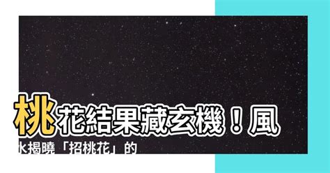 井宿 桃花結果 風水